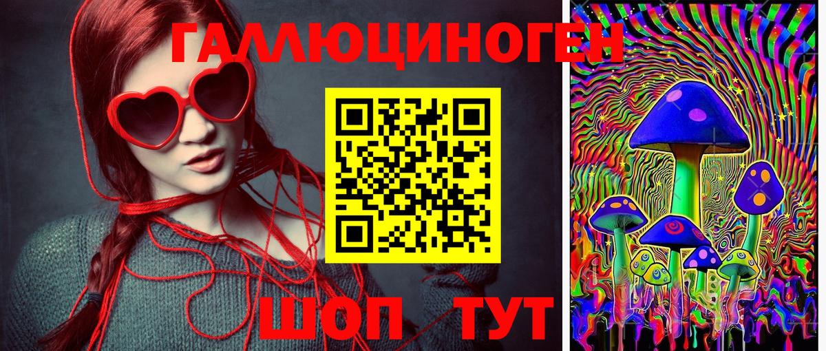 Галлюциногенные грибы GOLDEN TEACHER Петрозаводск