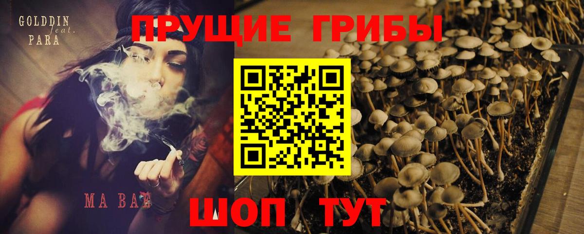 Псилоцибиновые грибы Psilocybe  Вход с VPN  Петрозаводск  Псилоцибиновые грибы Cubensis 